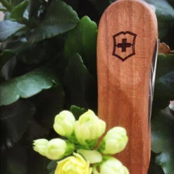 Victorinox Nail Clip 580 - Walnut -Summit Outfitters 0.6461.63 5 600x600 5830c94e 67cf 474d b2ba 9efa7ef6d0f0