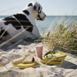 Light My Fire Eat´n Drink Kit BIO For 4 Nature -Summit Outfitters 2f9ba20e0235df98918201b6cf544baa 1