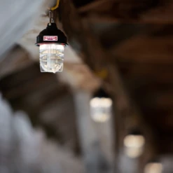 Barebones Beacon Kraft Packaging - Olive -Summit Outfitters LIV 297 5